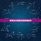 男属龙女属猴的婚姻相配吗，属龙男和属猴女在一起好不好