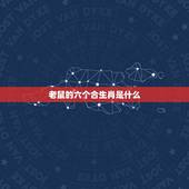 老鼠的六个合生肖是什么，追老鼠是什么生肖