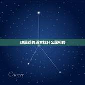 28属鸡的适合找什么属相的，生肖属鸡的找对象应该找个属什么的？