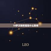 18罗汉镇邪魔是什么属相，十八罗汉镇邪魔什么肖