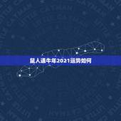 鼠人遇牛年2021运势如何，2021年属鼠运势怎样