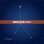 属鼠的今年多大2021，属牛今年多大岁