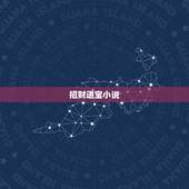 招财进宝小说，《重生之招财进宝》txt全集下载
