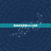 属虎的双鱼座2022运势，属虎又是双鱼座一月份的运势