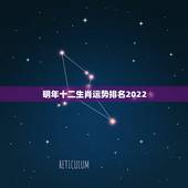 明年十二生肖运势排名2022，2022年财运之一的生肖