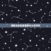 虎年出生的宝宝取什么名字好 虎年宝宝取名大全集