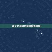 两个95属猪的结婚相克属相，1995年属猪的可以跟1992年属猴结婚吗