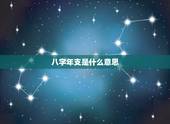 八字年支是什么意思，八字年干年支是什么意思