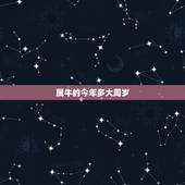 属牛的今年多大周岁，牛年多少岁全部