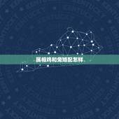 属相鸡和兔婚配怎样，属鸡和属兔的婚配怎么样