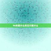 96年属什么的五行属什么，1996年是什么命，1996年出生是什么命