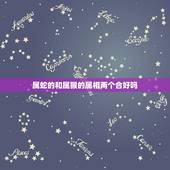 属蛇的和属猴的属相两个合好吗，属猴的和属蛇的相合么