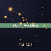 属龙人2022年买房好不好，2022年属龙运势及运程