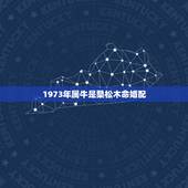1973年属牛是桑松木命婚配，1973年属牛的命是什么样的命