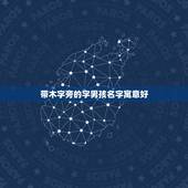带木字旁的字男孩名字寓意好，所有带木字旁及有木含义的字，要起名字，是个