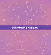 梦见好多鱼死了又活过来了，梦见好多鱼有活的死的 又抓到两条大的？