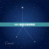 2021最流行微信网名，2021最火二字网名