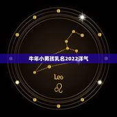 牛年小男孩乳名2022洋气，2022年虎宝宝取名大全