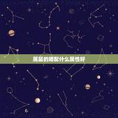 属鼠的婚配什么属性好，属鼠与属猪婚配好不好