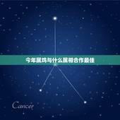 今年属鸡与什么属相合作最佳，属鸡和什么属相能合作最好