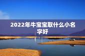 2022年牛宝宝取什么小名字好，有牛字的公司名字