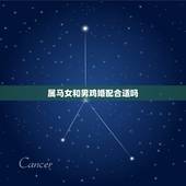 属马女和男鸡婚配合适吗，属马的跟属鸡的人相配吗