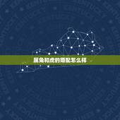 属兔和虎的婚配怎么样，属虎与属兔婚配好吗