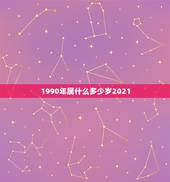 1990年属什么多少岁2021，1990年多少岁属什么？