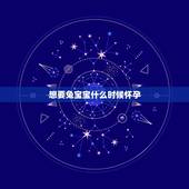 想要兔宝宝什么时候怀孕，2023年生兔备孕表