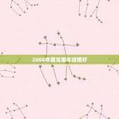 2000年属龙哪年结婚好，2000年属龙的人婚配