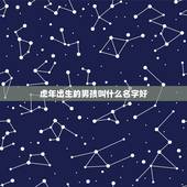 虎年出生的男孩叫什么名字好 虎年宝宝起名易用字