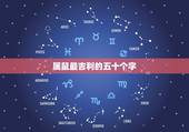 属鼠最吉利的五十个字，属鼠人带来财运的 名