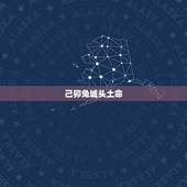 己卯兔城头土命，己卯城头土遇到辛未路旁土