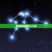 男属猴容易养小三吗，属猴男冷落你的原因