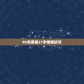 95年属猪27岁婚姻状况 95年属猪27岁感情运