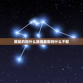 属鼠的和什么属相最配和什么不配，属鼠和什么属相最配？