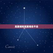 龙属相和龙属相合不合，龙和龙的婚配属相好吗