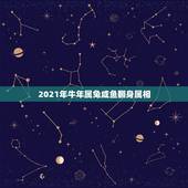 2021年牛年属兔咸鱼翻身属相，2021年最吉利的四大属相