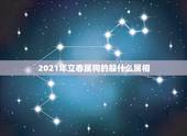 2021年立春属狗的躲什么属相，2021年立春躲春的生肖