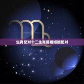 生肖配对十二生肖属相婚姻配对，十二生肖配对