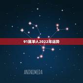 91属羊人2022年运势，91年的羊2022年可以结婚吗