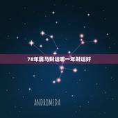 78年属马财运哪一年财运好，出生1978年属马的在1999年财运如何