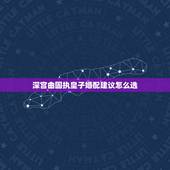 深宫曲固执皇子婚配建议怎么选，深宫曲怎么下毒嫁祸