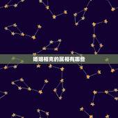 婚姻相克的属相有哪些，属狗与什么属相相克