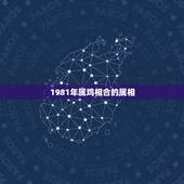 1981年属鸡相合的属相，男人1981年属相和什么属相做生意最生财？
