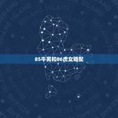 85牛男和86虎女婚配，85年属牛男和86年属虎女的婚姻能走到最后吗？
