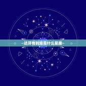 达芬奇到底是什么星座，爱因斯坦是哪个星座的？