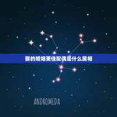 猴的婚姻更佳配偶是什么属相，几月出生的虎女是富贵命