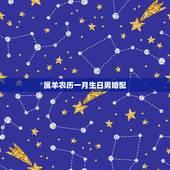 属羊农历一月生日男婚配，1991年属羊男婚配