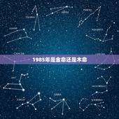 1985年是金命还是木命